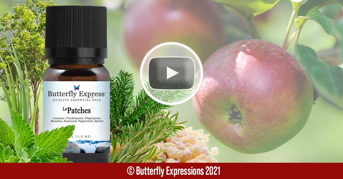 Patches Essential Oil Blend