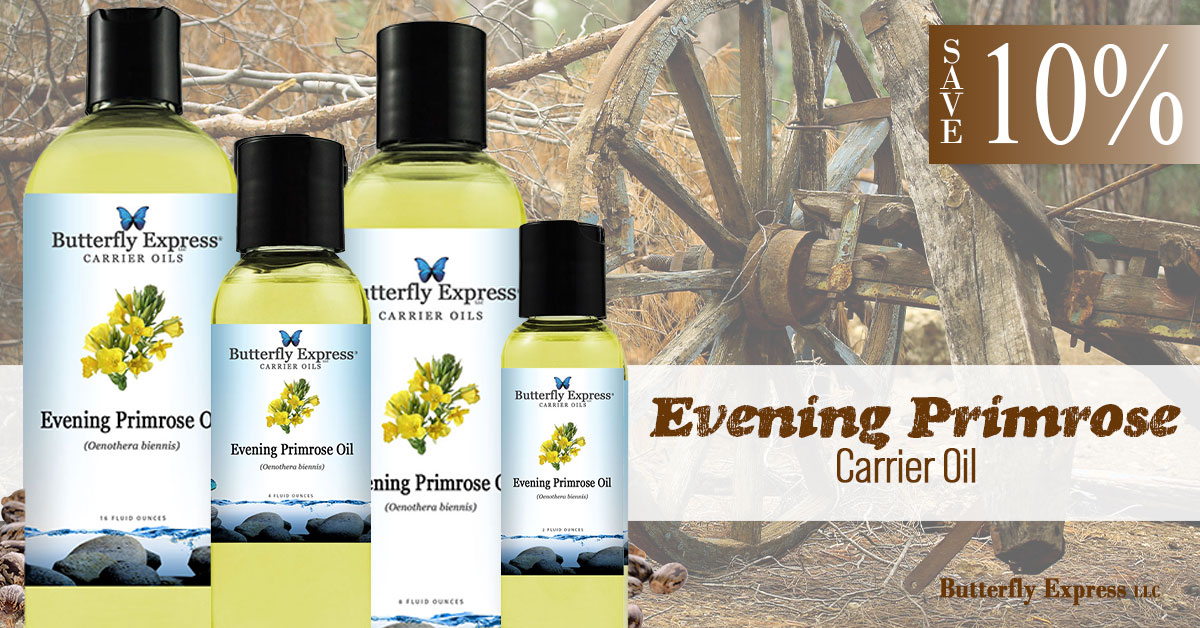 Evening Primrose Carrier Oil Special