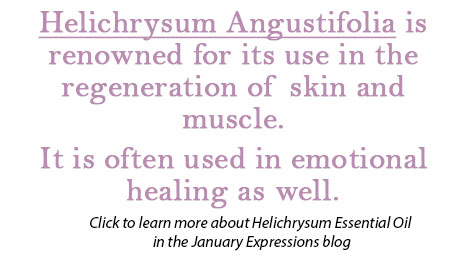 Helichrysum A Essential Oil Single