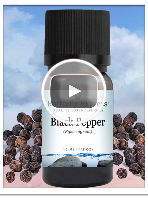 Black Pepper Essential Oil Single