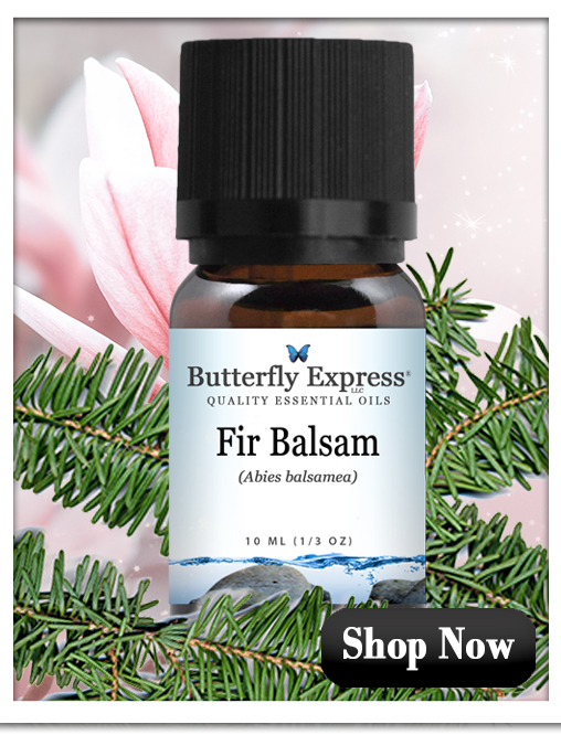 Fir Balsam Essential Oil Single