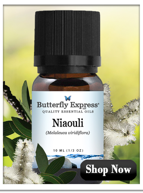 Niaouli Essential Oil Single