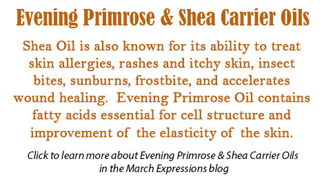 Evening Primrose and Shea Carrier Oils