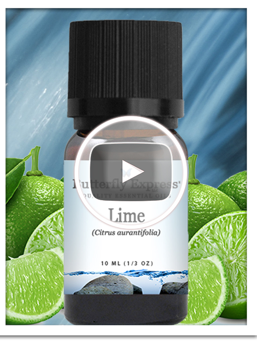 Lime Essential Oil Single