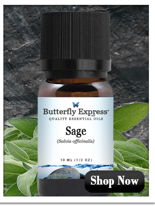 Sage Essential Oil Single
