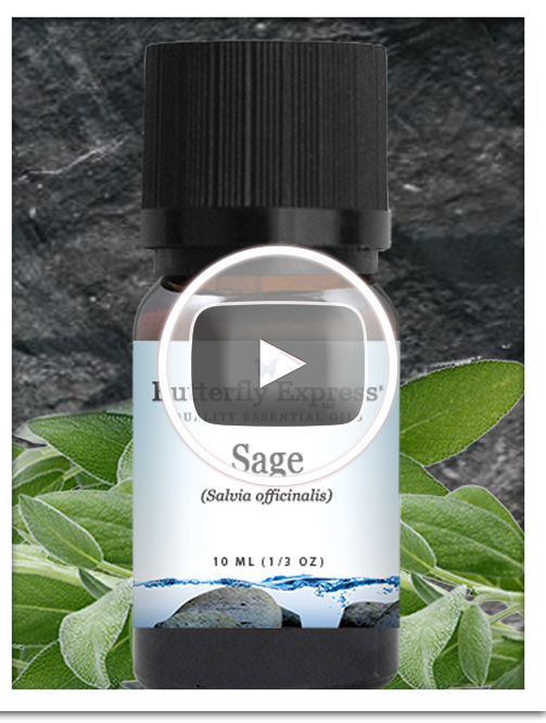 Sage Essential Oil Single