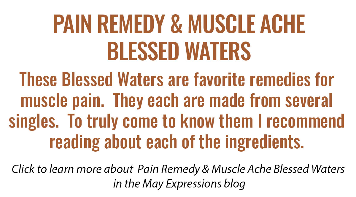 Pain & Muscle Blessed Waters
