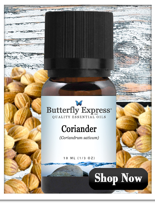 Coriander Essential Oil Single