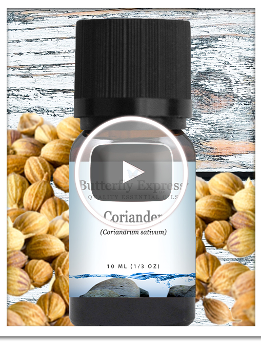 Coriander Essential Oil Single