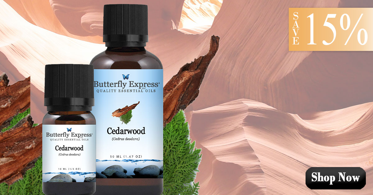 Cedarwood Essential Oil Single