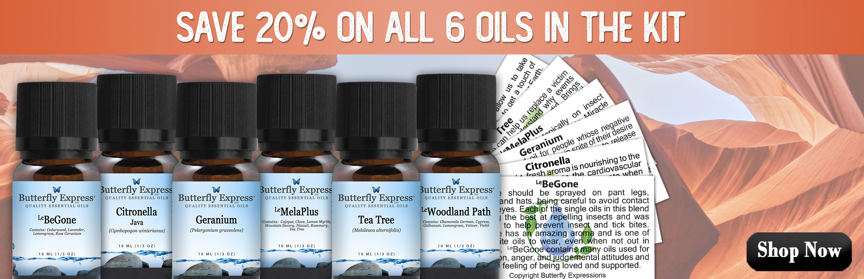 6 Oil Monthly Special