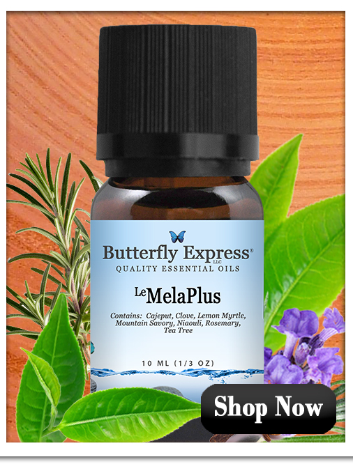 MelaPLus Essential Oil Blend