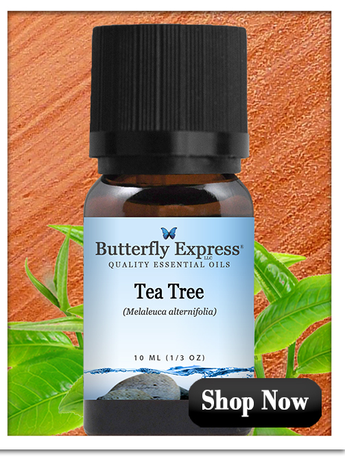 Tea Tree Essential Oil Single
