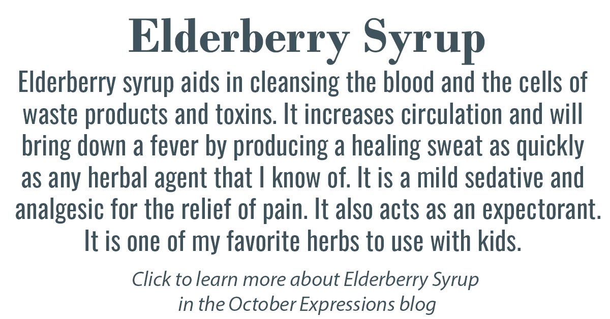 Elderberry Syrup Info