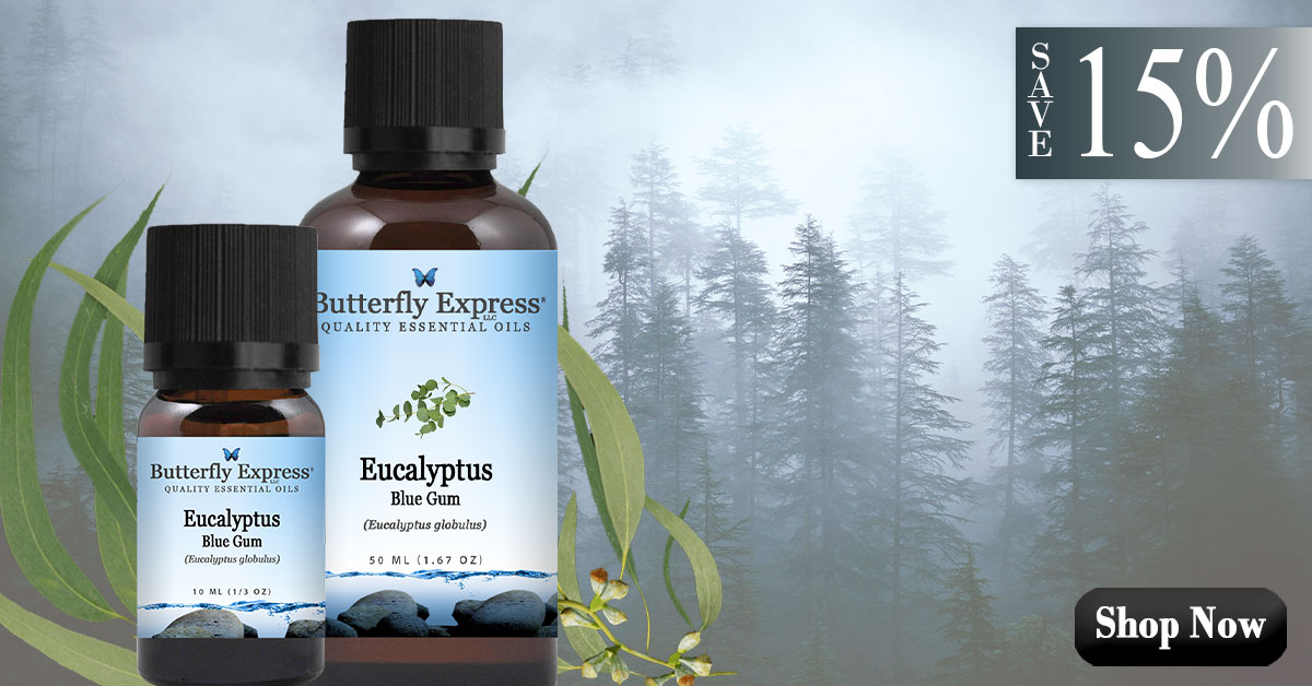 Eucalyptus Blue Gum Essential Oil Single