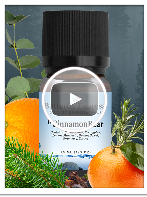 CinnamonBear Essential Oil Blend