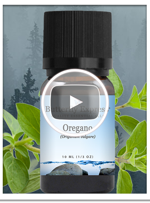 Oregano Essential Oil Single