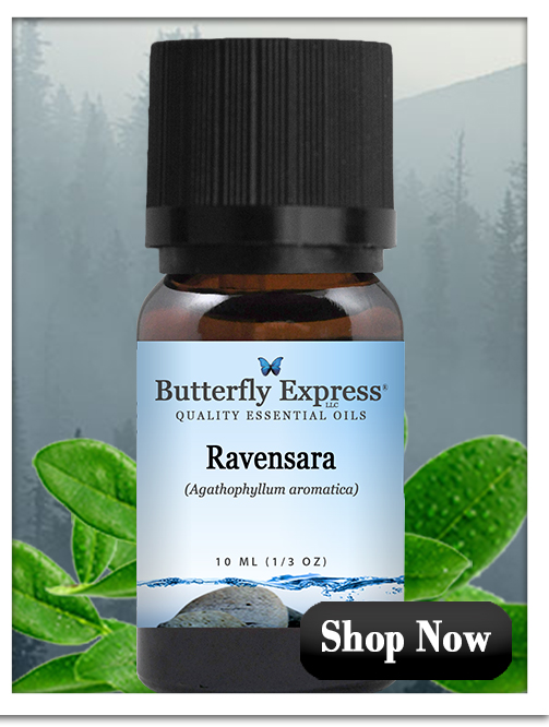 Ravensara Essential Oil Single
