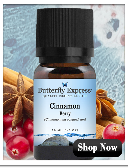 Cinnamon Berry Essential Oil Single
