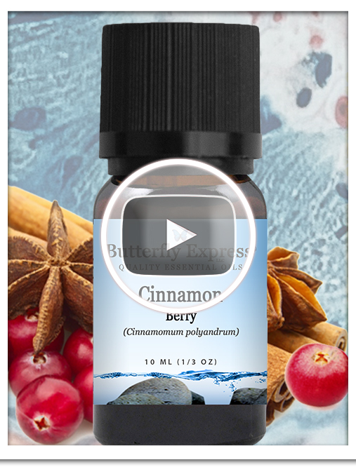 Cinnamon Berry Essential Oil Single