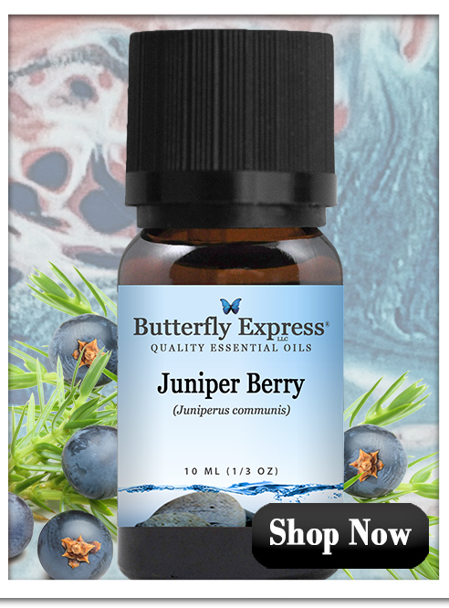 Juniper Berry Essential Oil Single
