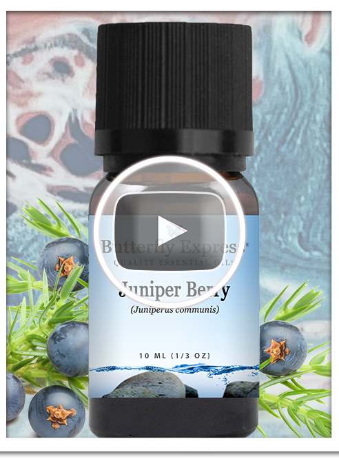 Juniper Berry Essential Oil Single