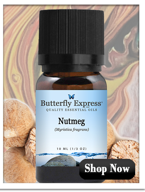 Nutmeg Essential Oil Single