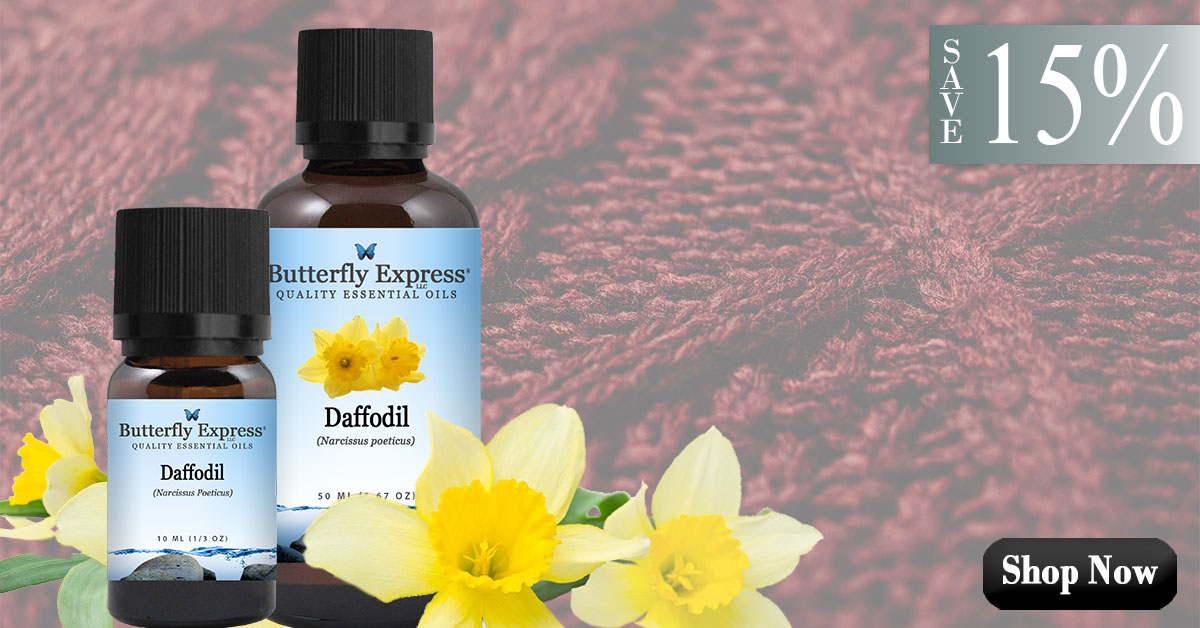 Daffodil Essential Oil Single
