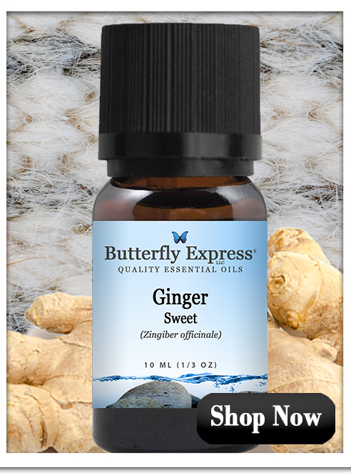 Ginger Sweet Essential Oil Single