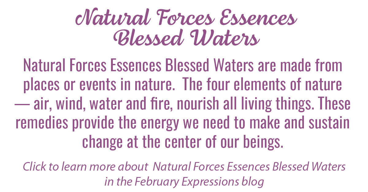 New Natural Forces Essences Blessed Waters Info