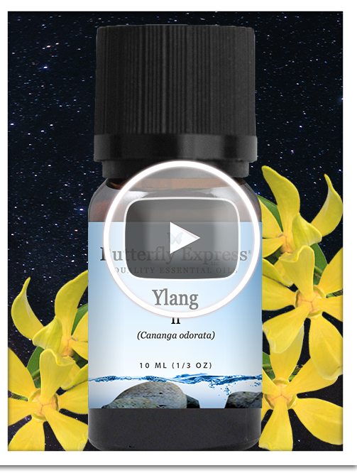 Ylang II Essential Oil Single