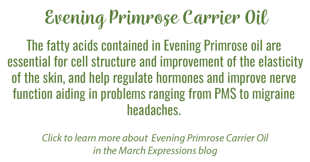 Evening Primrose Carrier Oil Info
