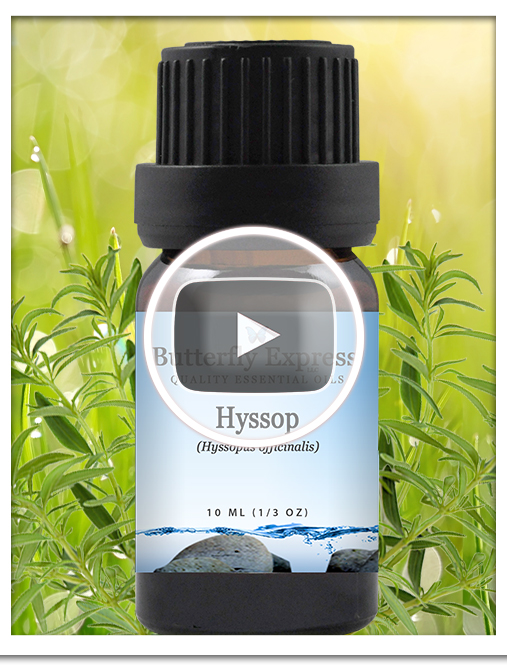 Hyssop Essential Oil Single