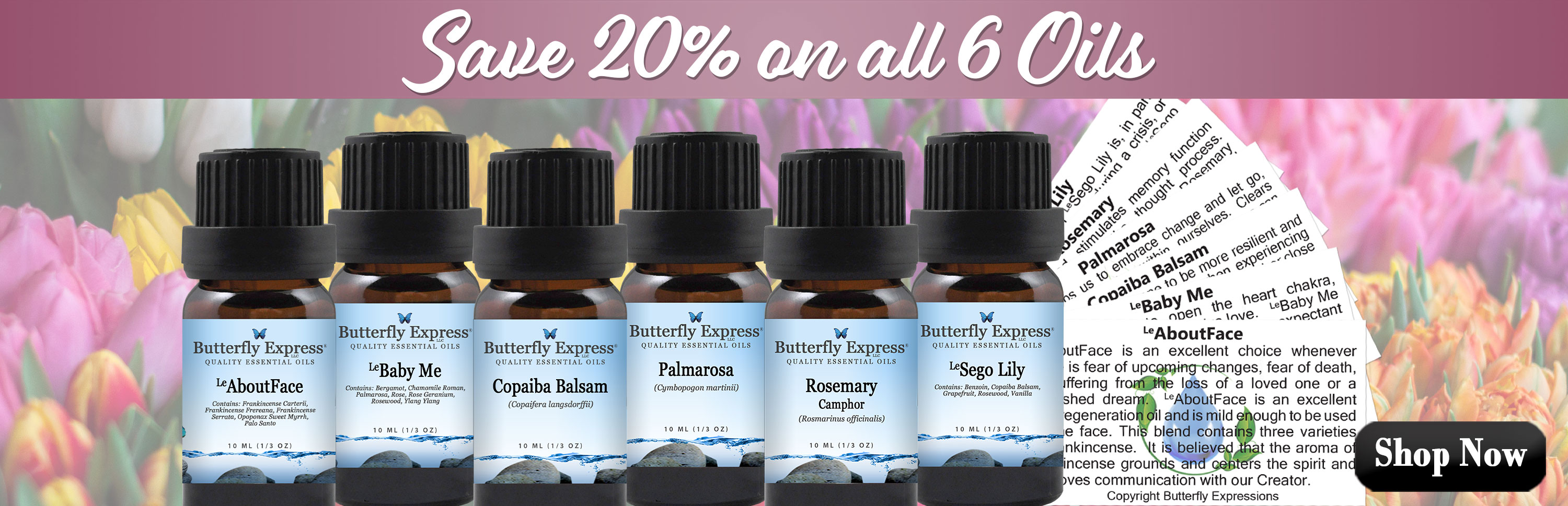 6 Oil Monthly Special