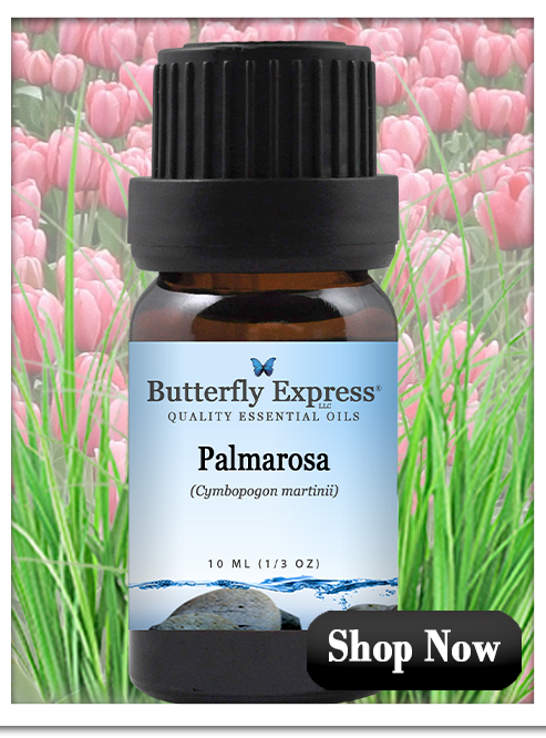 Palmarosa Essential Oil Single