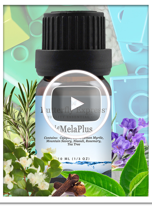 MelaPlus Essential Oil Blend