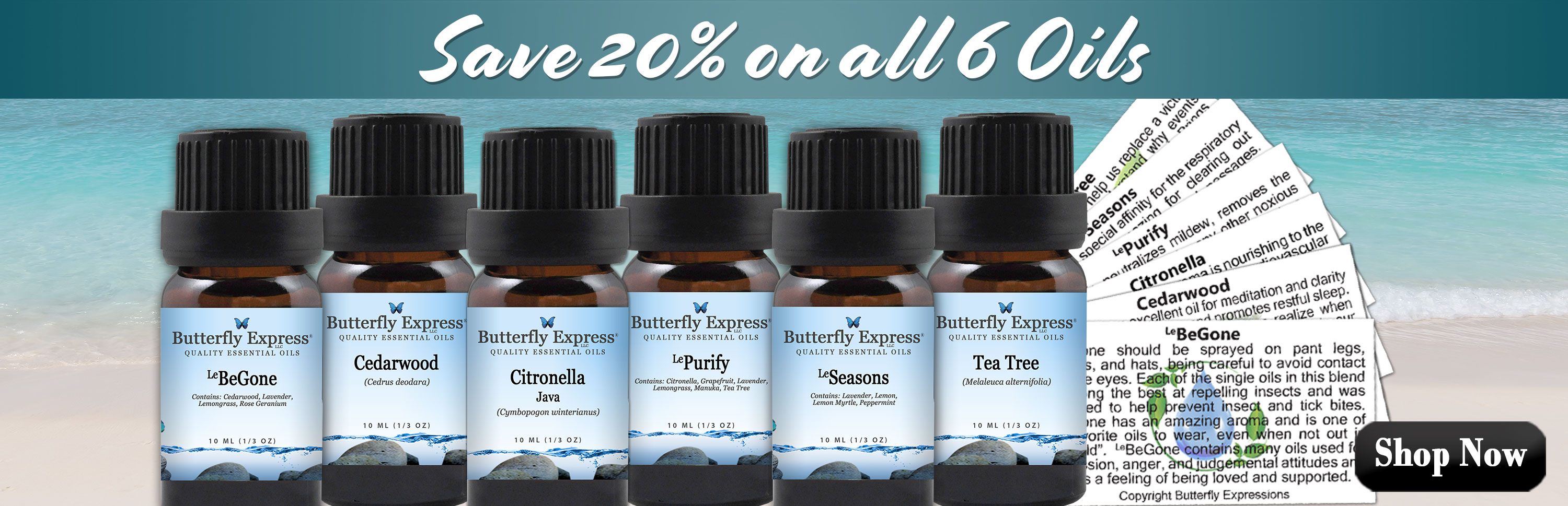 6 Oil Monthly Special