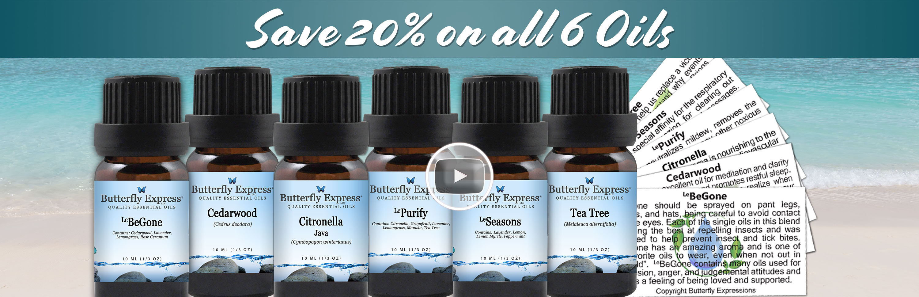 6 Oil Monthly Special
