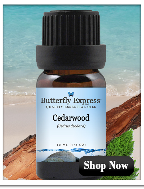 Cedarwood Essential Oil Single