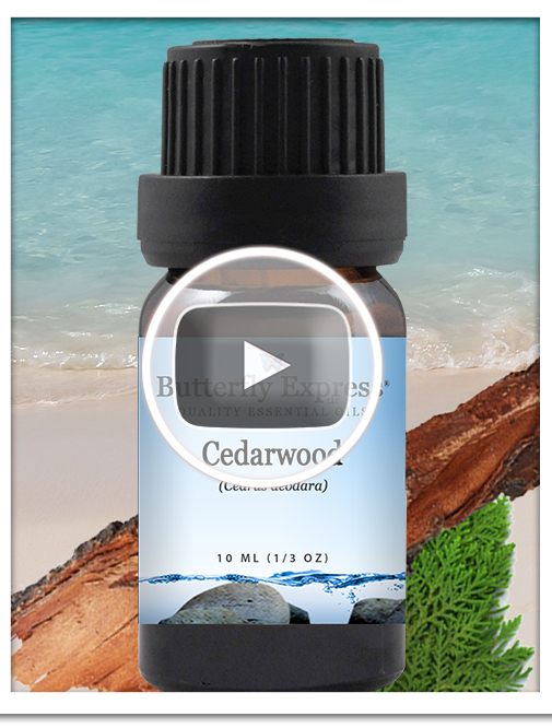 Cedarwood Essential Oil Blend