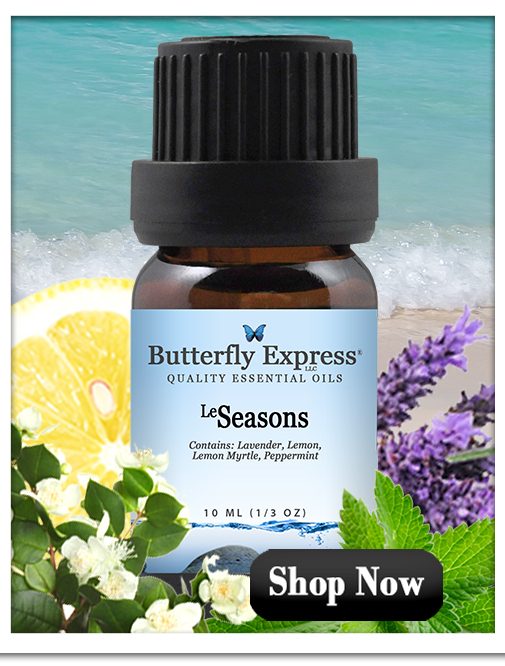 Seasons Essential Oil Blend