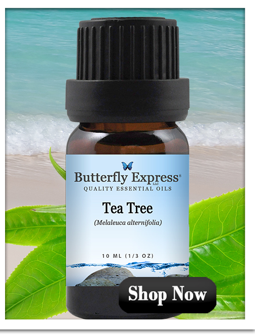 Tea Tree Essential Oil Single