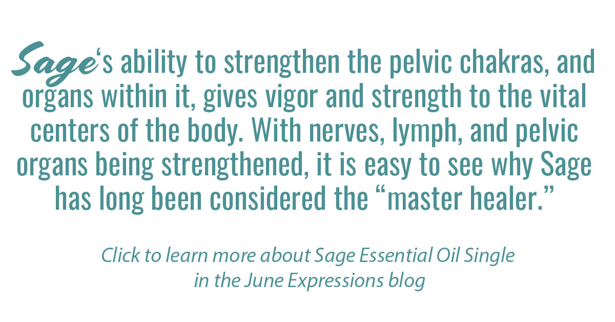 Sage Essential Oil Single Info