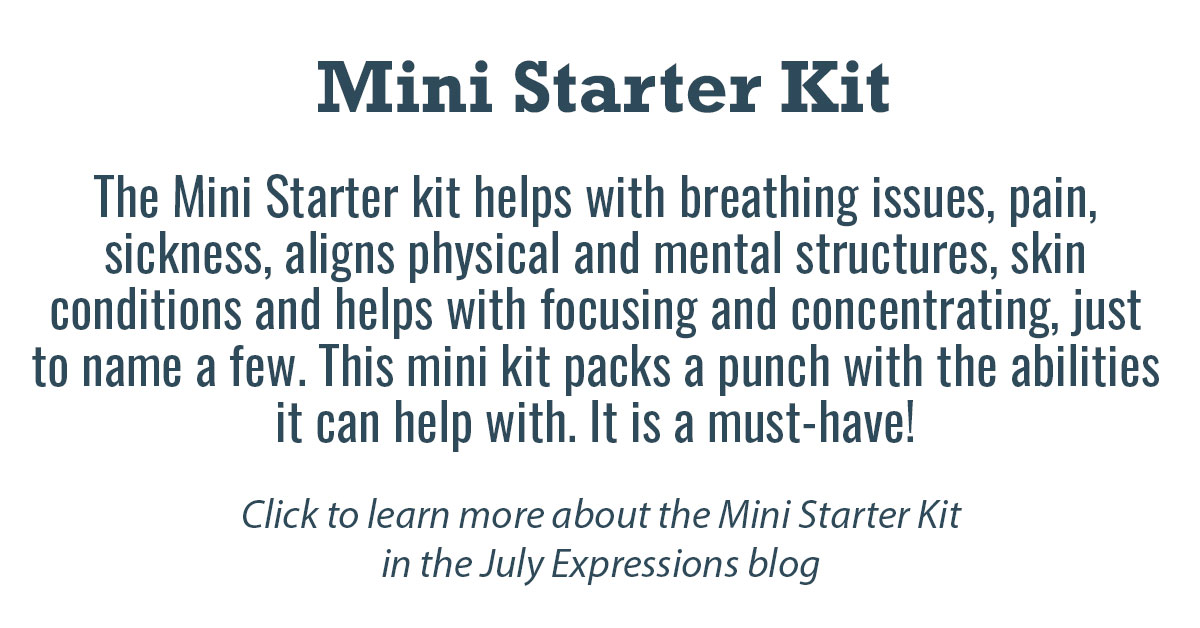 Mini Starter Kit Info