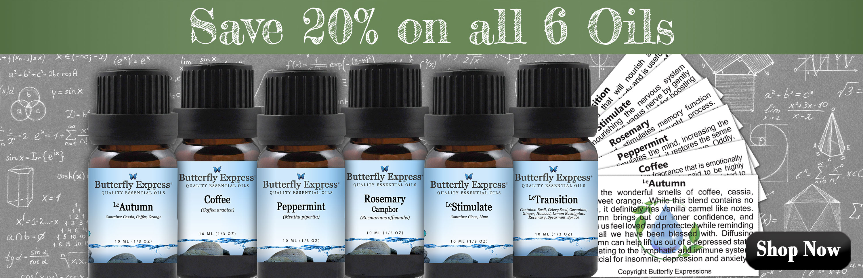 6 Oil Monthly Special
