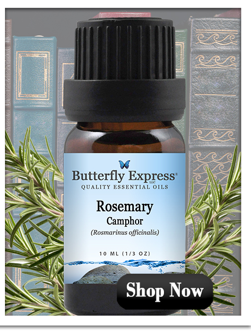 Rosemary Essential Oil Single