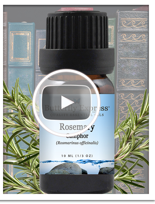 Rosemary Camphor Essential Oil Blend