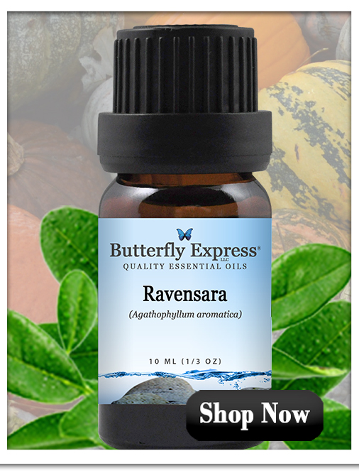 Ravensara Essential Oil Single