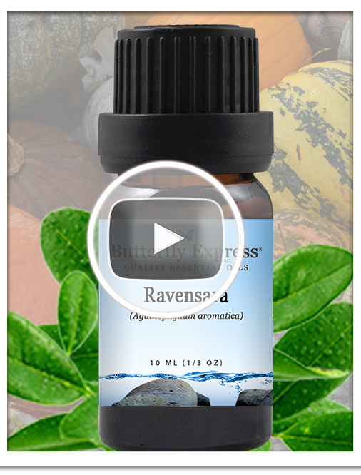 Ravensara Essential Oil Blend