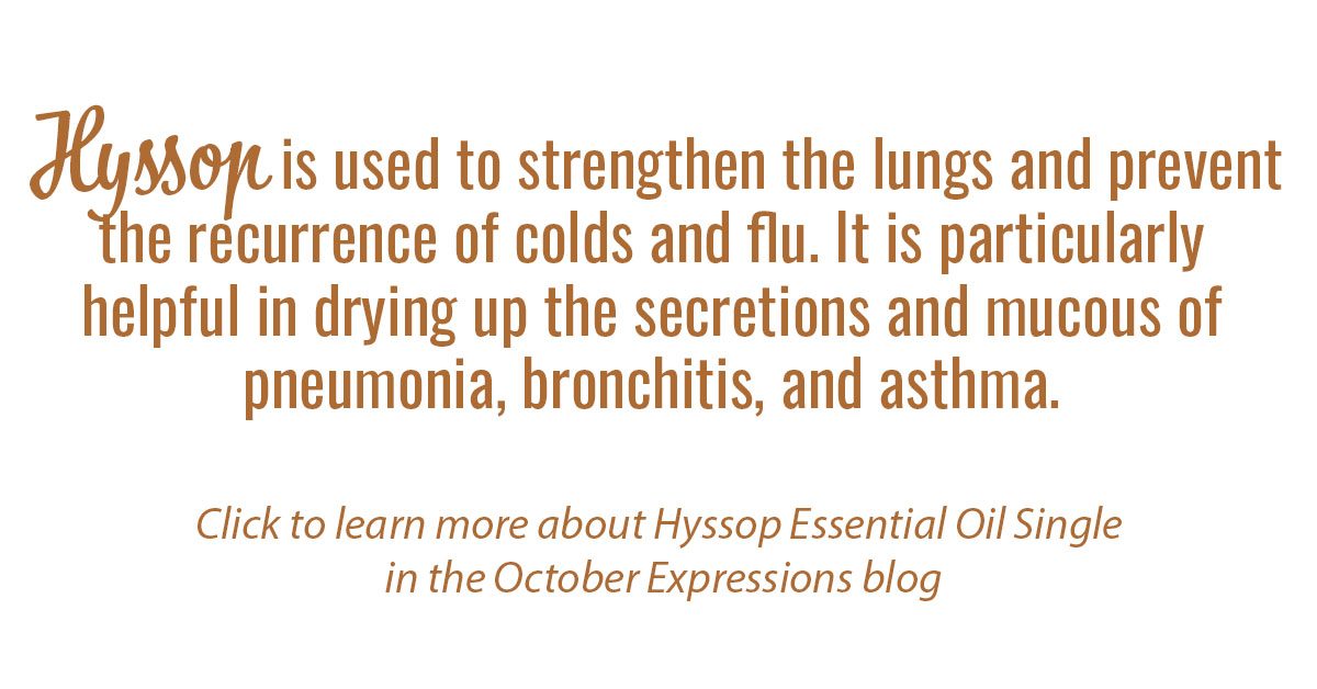 Hyssop Essential Oil Single Info